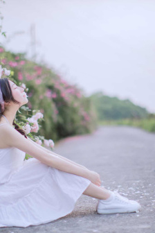 花儿与少年3